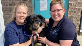 Abandonaron a un perro por ser gay y una pareja tomó una drástica decisión