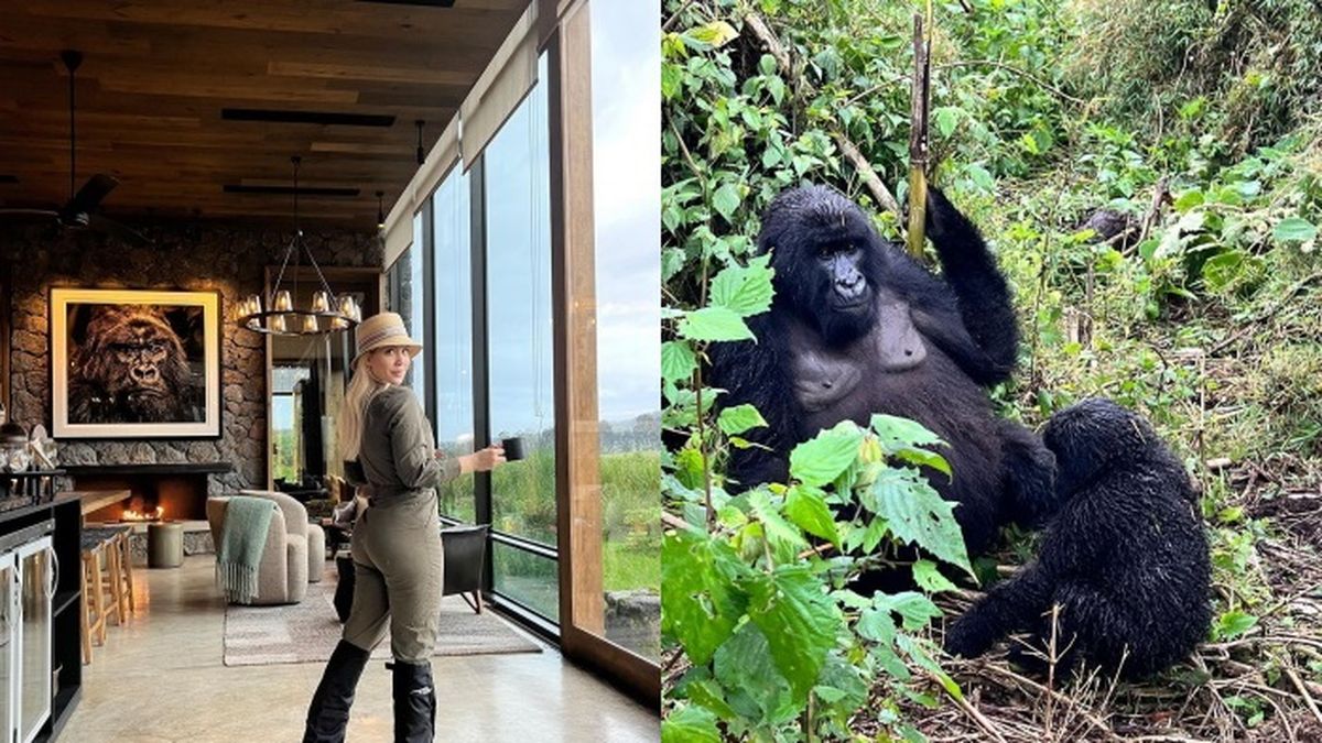 Wanda Nara y Mauro Icardi hicieron un safari en Ruanda, donde tomaron contacto con una familia de gorilas. 