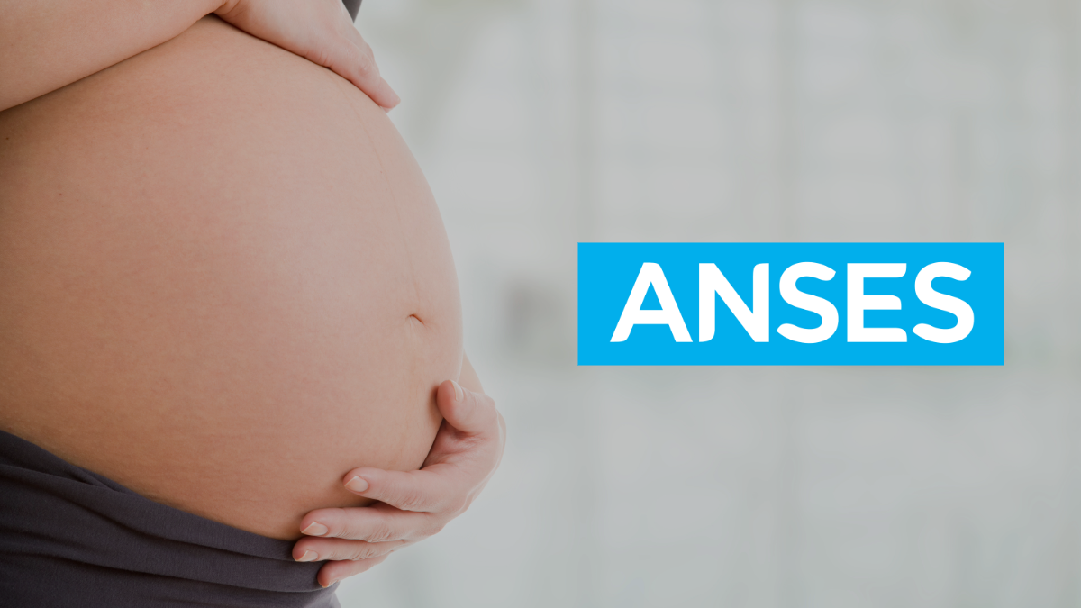 ANSES detalla requisitos para acceder a la Asignación por Embarazo