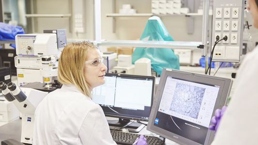 Alternativas libres de humo basadas en la ciencia: una tendencia que crece