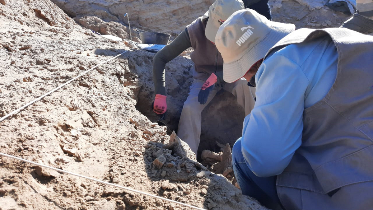 Hallazgo arqueológico: encuentran restos de 2800 años en este país latinoamericano