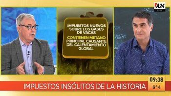 Impuesto a la barba o a las ventanas: cuáles fueron los tributos más insólitos en la historia de la humanidad