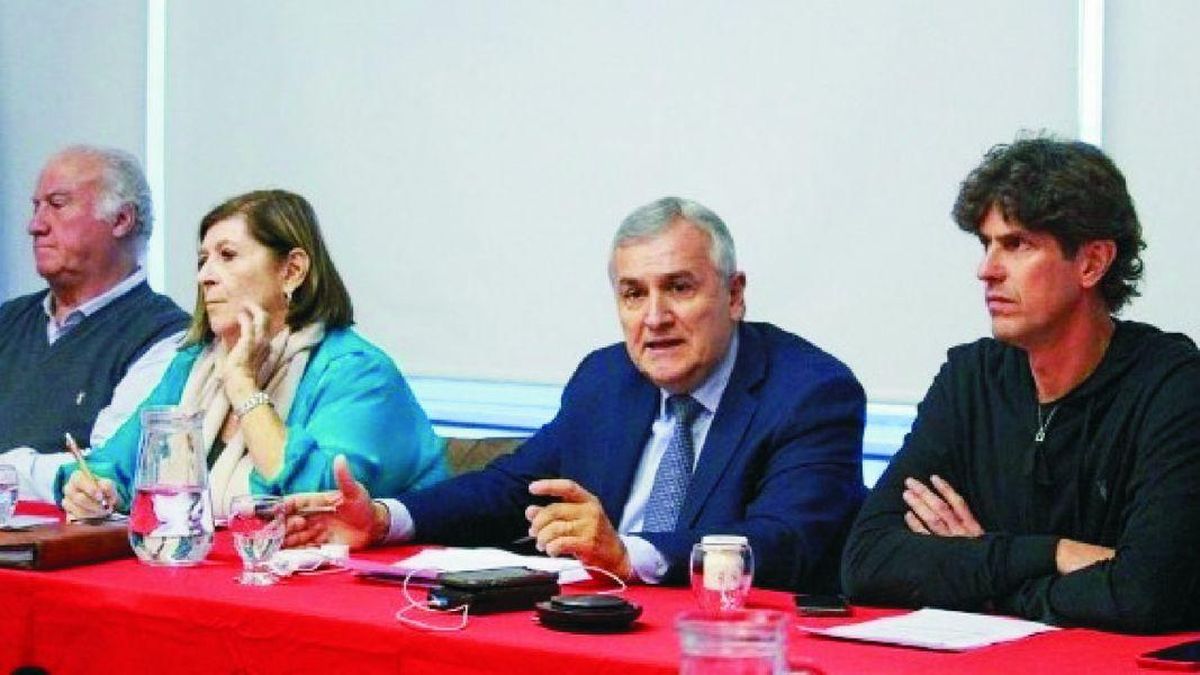 La vicepresidenta de la Unión Cívica Radical&nbsp;(UCR)