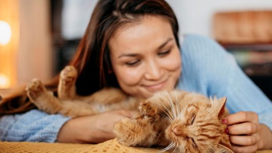 ¿Qué significa acariciar siempre a los gatos, según la psicología?
