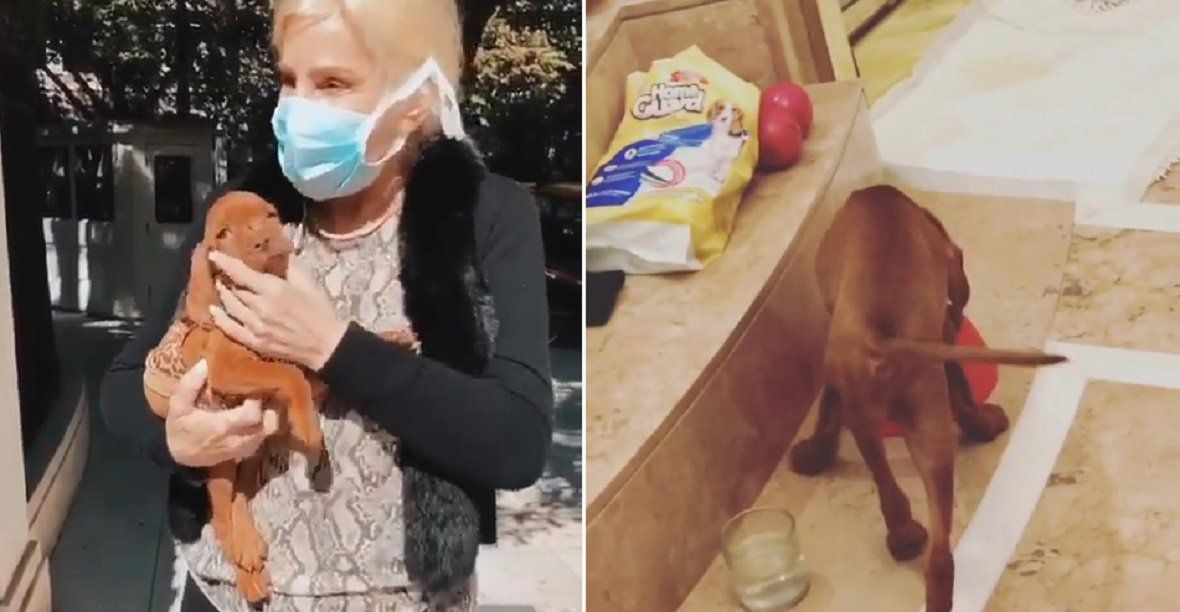 ¡Otra vez! El video que subió Susana Giménez a Instagram por error