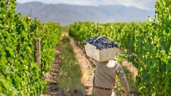 Para CAME, los planes sociales afectan el trabajo agrario