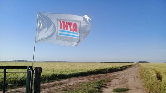 En Diputados, el Frente de Todos busca reformar el INTA: qué dice el proyecto que ya cosechó un amplio repudio