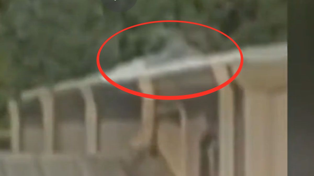 La gente con sus celulares tomaron a atacante de Trump mientras tomaba posición y adviertieron a la policía que no reaccionó. (Foto: Captura de TV)