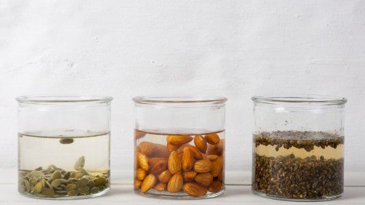 ¿Cómo activar semillas?