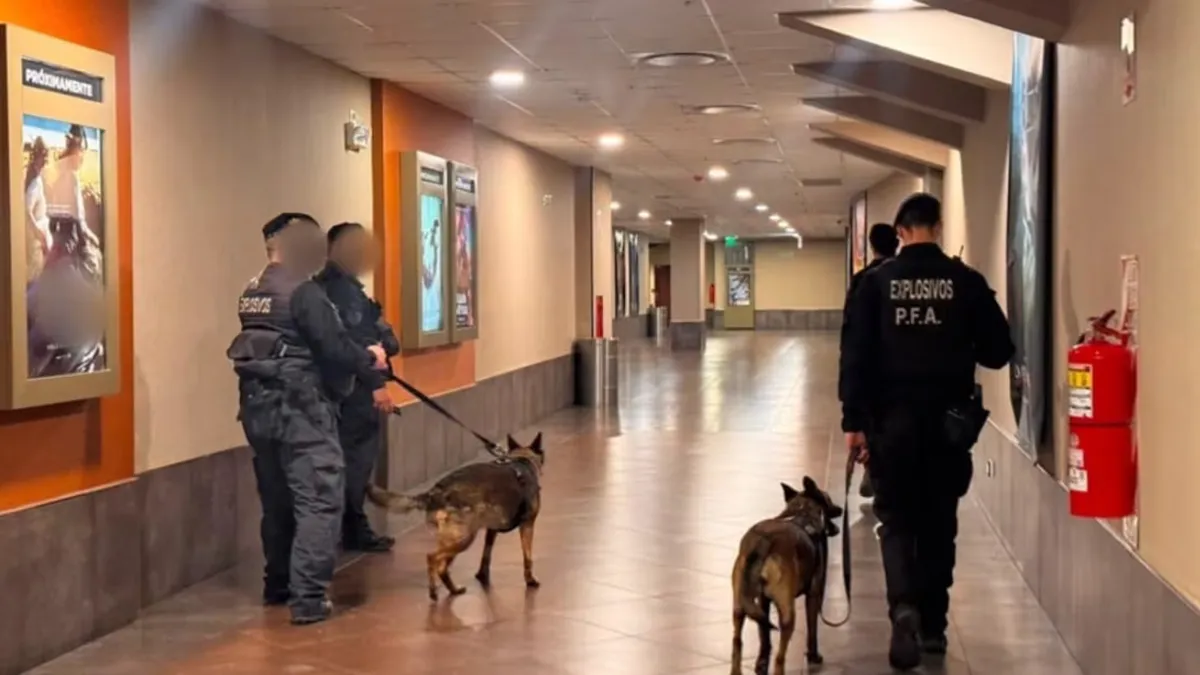 La Policía Federal realizó inspecciones en unos 30 establecimientos de distintos puntos del país. (Foto: PFA)