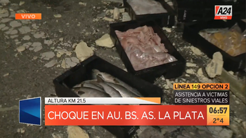 Los pescados en la Autopista Buenos Aires-La Plata tras el accidente (Foto: captura de televisión). Los pescados en la Autopista Buenos Aires-La Plata tras el accidente (Foto: captura de televisión).