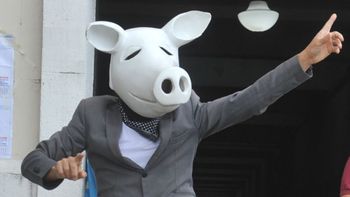 Un hombre disfrazado de chancho votó en la Facultad de Derecho y elogió a Sarmiento