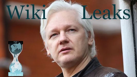 Alivio para Julian Assange: por ahora, el creador de Wikileaks no será extraditado a EE.UU.