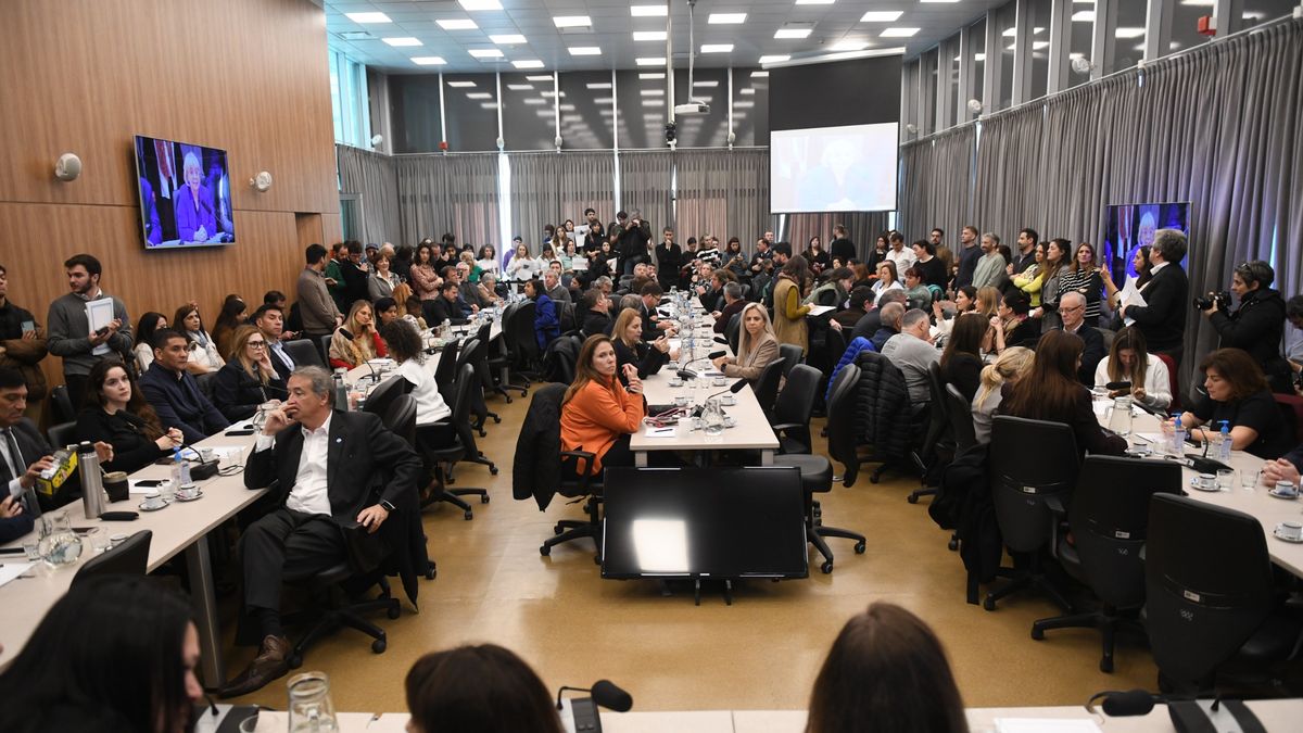 Diputados debaten en comisión proyectos sobre el Garrahan y financiamiento universitario