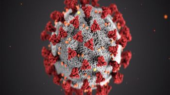 Convierten el código genético del coronavirus en temas musicales y así suenan