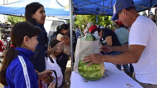Por la pandemia de coronavirus, cambiaron la modalidad de entrega de la tarjeta Alimentar y será por correo