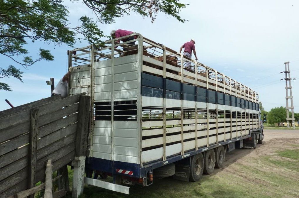 Tras el ataque al camión de hacienda, transportistas señalan los puntos más peligrosos y piden mayor seguridad