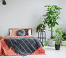 Mito o verdad: ¿es peligroso dormir con plantas en la habitación?