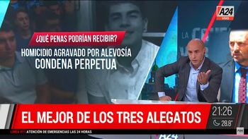 Esteban Trebucq analizó el alegato de Hugo Tomei: los escenarios para que los rugbiers evadan la prisión perpetua