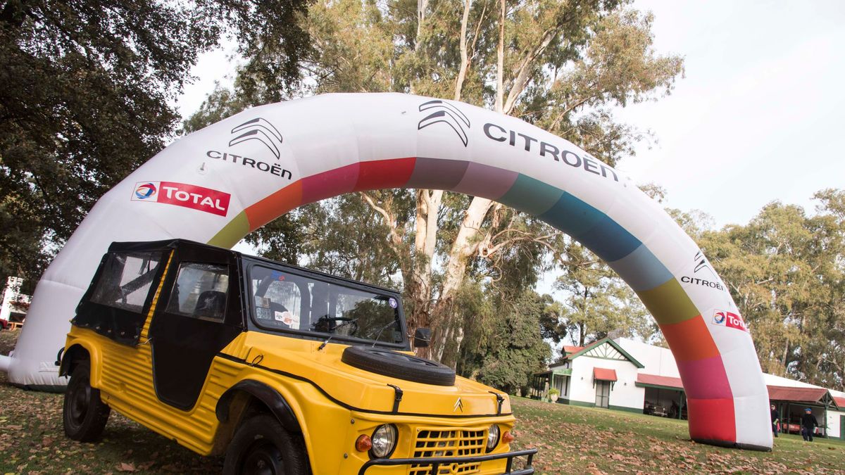 En Argentina la marca francesa fabricó el Citroën Méhari&nbsp;a partir de 1971 y hasta 1980
