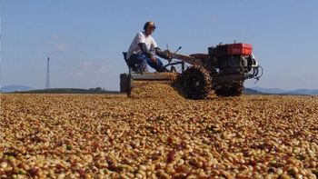 Las billeteras virtuales del campo dan un salto estratégico y llegan a la educación agropecuaria