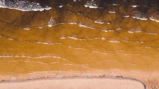 Impresionante: el Mar Negro se tiñó de amarillo frente a las costas de Crimea