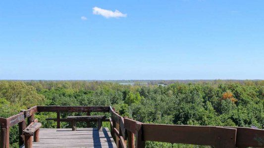 Buenos Aires: ¿En cuál de las fases de la cuarentena está San Pedro?