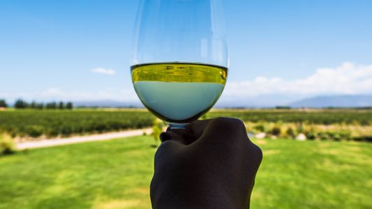 La industria del vino es el sector exportador que más empleo genera