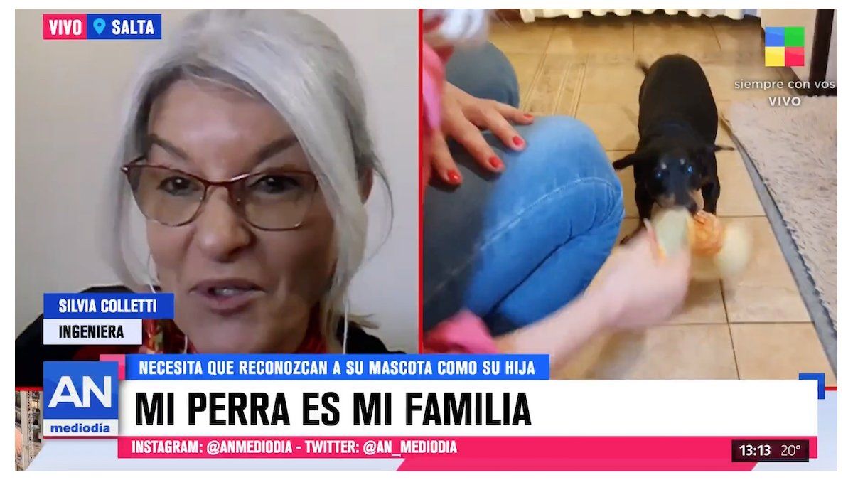 Silvia Coletti hizo una presentación ante la Justicia para que avalen su pedido (Foto: captura de video).