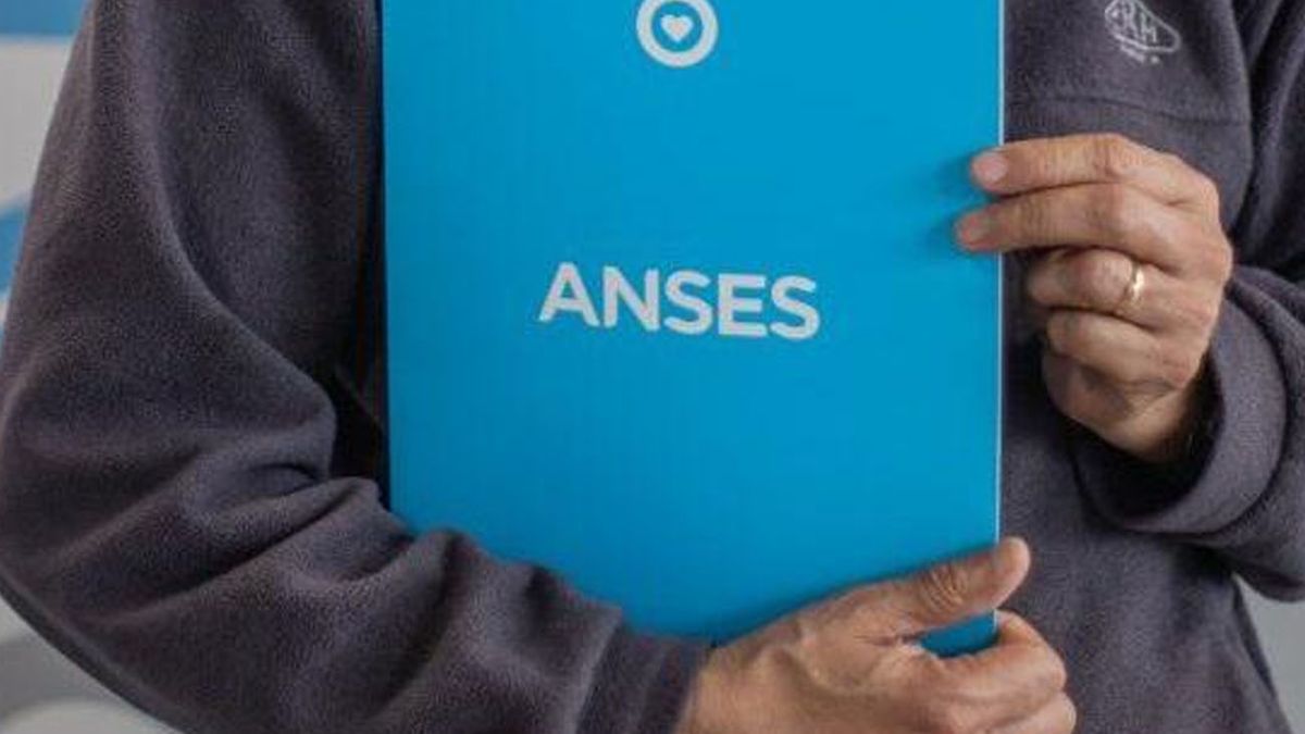 ÚLTIMA OPORTNIDAD para cobrar el BONO de $ 156.000 que paga ANSES (Foto: archivo)