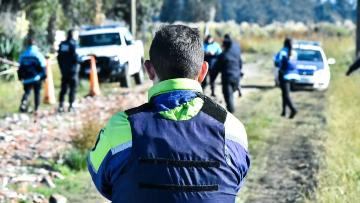 Identificaron los restos de la persona descuartizada hallados en un descampado de Mar del Plata