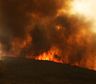Calor extremo y fuego: el sur de Europa sufre incendios mortales y evacuaciones masivas
