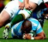 No pudo ser: Los Pumas sufrieron una dura derrota en la final del Rugby Championship