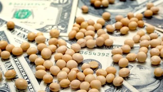 ¿Faltan dólares o sobran pesos? El contundente dato tras contabilizar el aporte del campo en el primer semestre