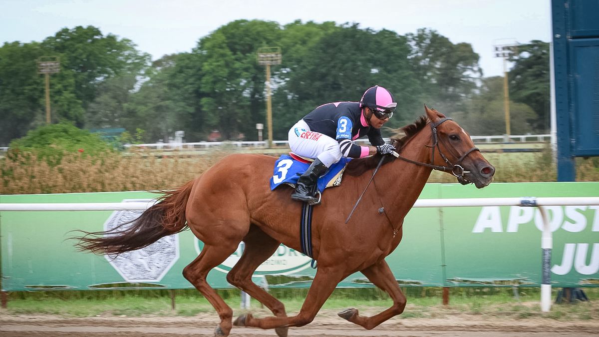 El perfil de una gran campeona en el Turf. (Foto: Facebook)