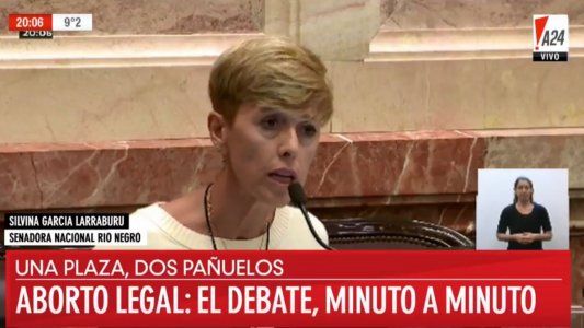 Larraburu, la senadora de Cristina que se dio vuelta y votó en contra: El proyecto responde a intereses extranjeros