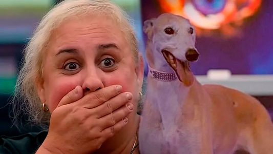 Selva y el comportamiento que puso nerviosa a París, la perra de Gran Hermano