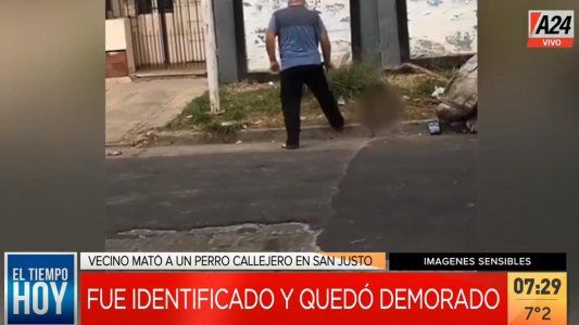 Un vecino mató al perro del barrio de un tiro: lo demoraron y quedó libre
