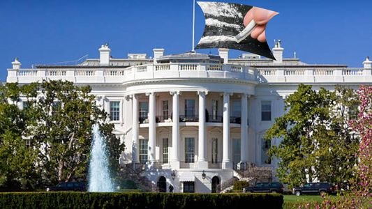 Escándalo internacional: el Servicio Secreto de Estados Unidos confirmó la presencia de cocaína en la Casa Blanca