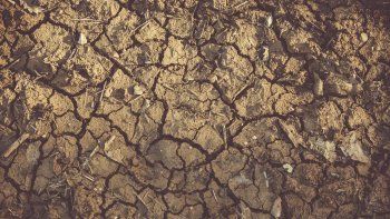Sequía y heladas: especialistas advierten por el impacto sobre el trigo, el maíz y la soja
