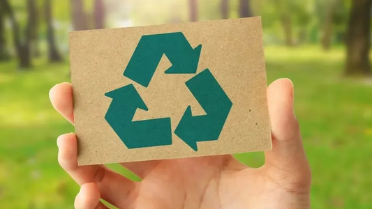 Más del 90% de las empresas argentinas se encuentra en la fase inicial de implementaciones de sustentabilidad