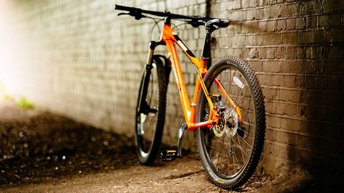 Cada 3 de junio se celebra el Día Mundial de la bicicleta.