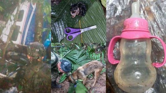 El misterio de los 4 niños rescatados: la caída de una avioneta tiene en vilo a toda Colombia