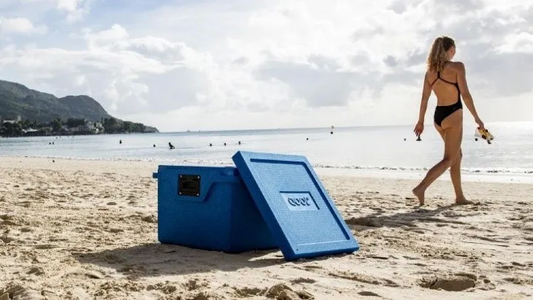 Vacaciones de verano: cuánto sale llenar la heladerita para almorzar en las playas de Argentina y Uruguay