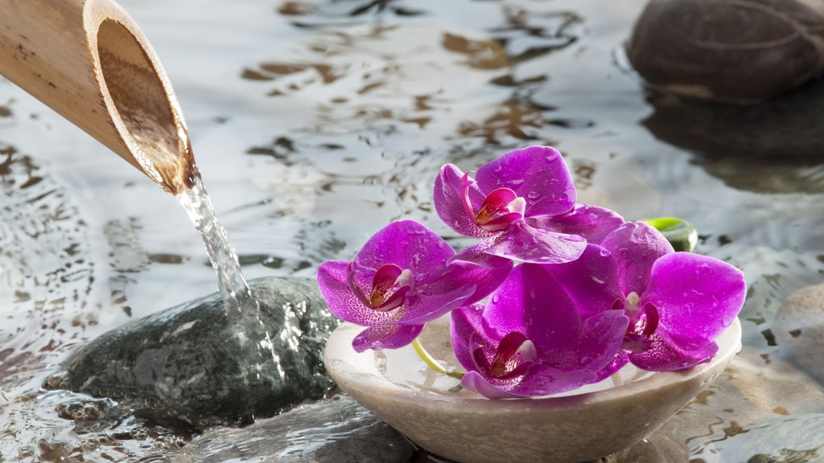 Cómo hacer una limpieza energética profunda con agua y bicarbonato.