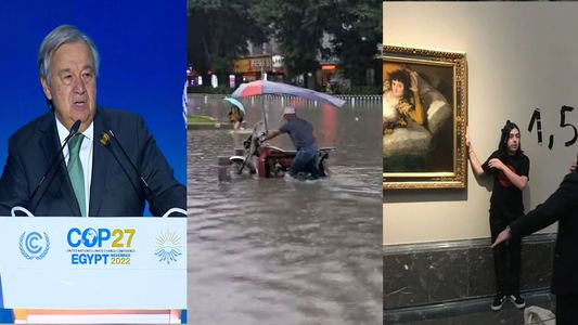 Cop 27: comenzó la cumbre del cambio climático, presionada por los ataques ecologistas a las obras de arte
