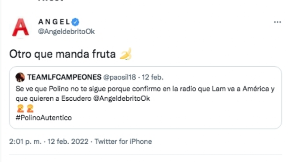 &Aacute;ngel de Brito dispar&oacute; contra Marcelo Polino en Twitter.