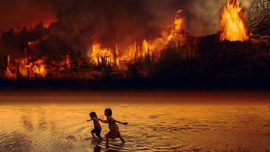Arde el Pantanal, el mayor humedal del mundo: ¿Por qué la Justicia de Brasil intimó a Lula?