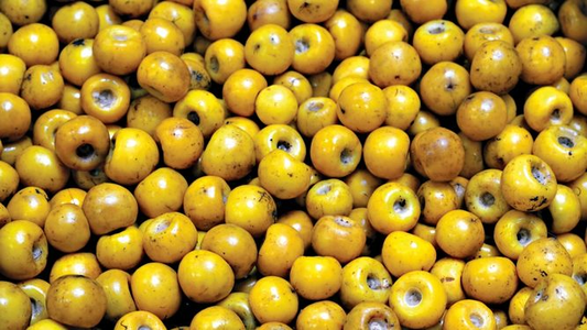 Fruta DIVINA, piel SUAVE Y TENSA: el alimento que reduce arrugas por su COLÁGENO