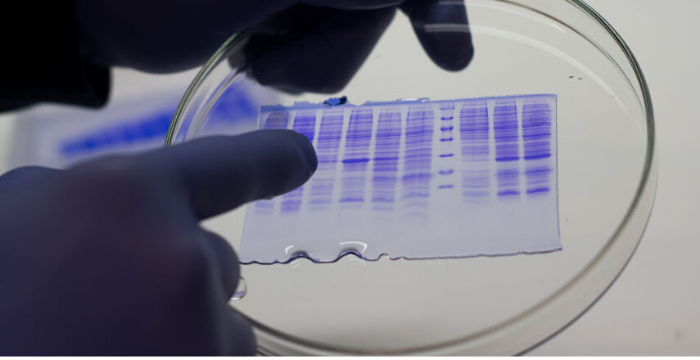Laboratorio agrícola santafesino anuncia desarrollo para enfrentar al coronavirus